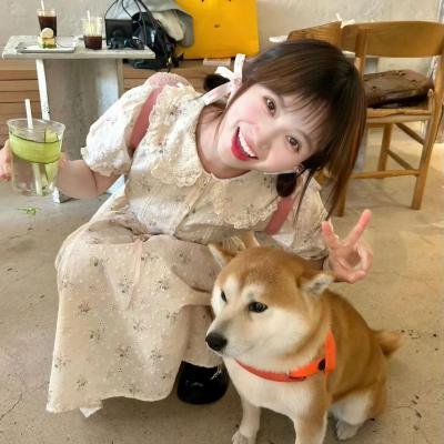 狂野目标封面